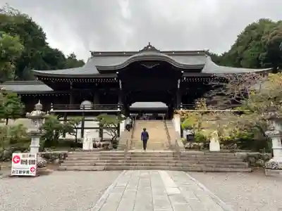 近江神宮の本殿・本堂