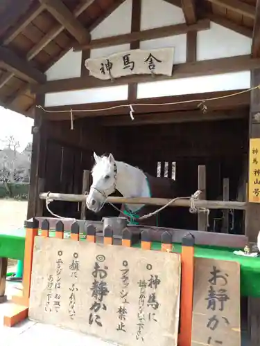 賀茂別雷神社（上賀茂神社）(京都府)
