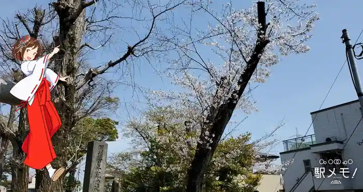 上小松天祖神社(東京都)