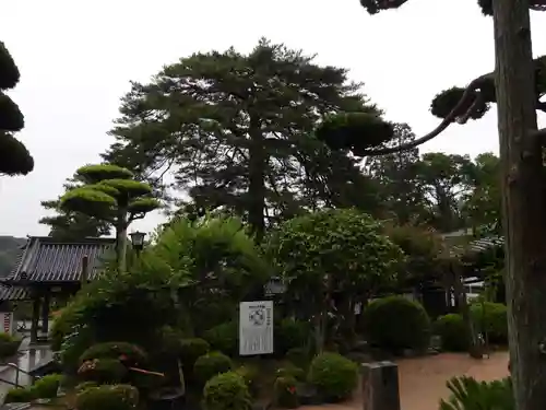 瑠璃光寺(山口県)