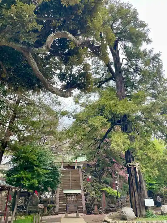 駒込富士神社の{uncategorized: "未分類", other: "その他", undefined: "問題あり", building: "その他建物", grave: "お墓", sacred_gate: "鳥居", guardian: "狛犬", statue: "像", buddha: "仏像", history: "歴史", nature: "自然", garden: "庭園", animal: "動物", pagoda: "塔", temizu: "手水舎", mountain_gate: "山門・神門", sanctuary: "本殿・本堂", subordinate: "末社・摂社", art: "芸術", scenery: "景色", jizo: "地蔵", ema: "絵馬", goshuin: "御朱印", omikuji: "おみくじ", items: "授与品その他", amulet: "お守り", goshuincho: "御朱印帳", eats: "食事", festival: "お祭り", votive_dance: "神楽", shichigosan: "七五三参", wedding: "結婚式", experience: "体験その他", initially: "初詣", around: "周辺", anti_infection: "感染症対策"}