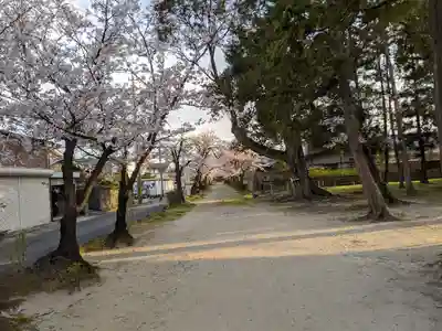 伊多波刀神社(愛知県)