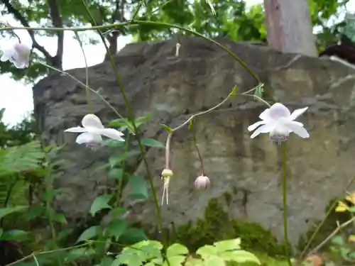 関興寺のその他建物