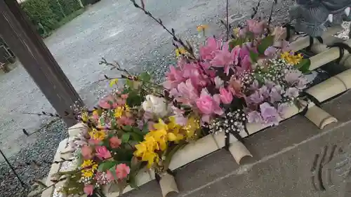 大歳神社(静岡県)