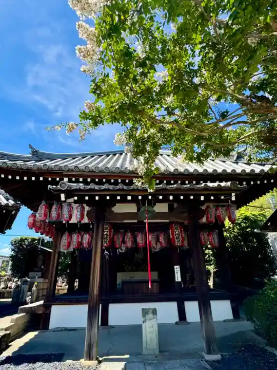 大善寺(京都府)