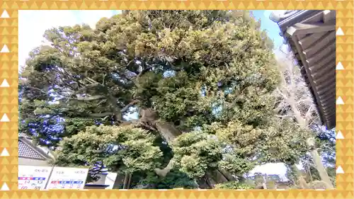 九重神社(埼玉県)