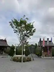 栗橋八坂神社(埼玉県)