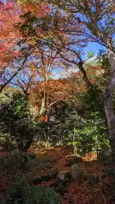 法金剛院(京都府)