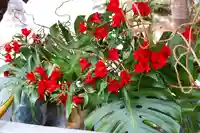 三津厳島神社(愛媛県)