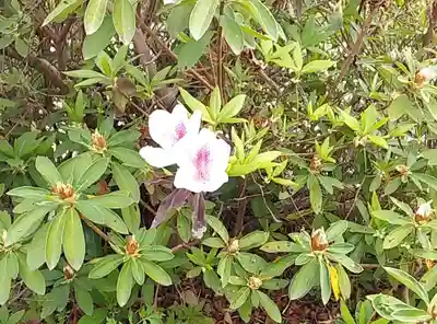 比佐豆知神社(三重県)