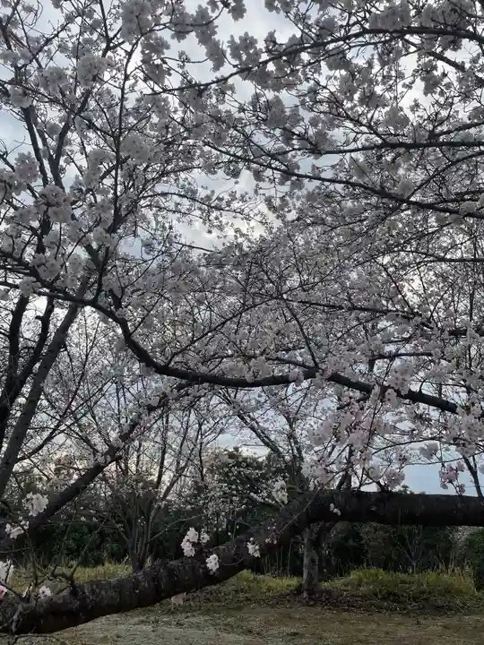 貴船神社の自然
