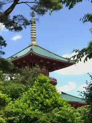 成田山新勝寺(千葉県)