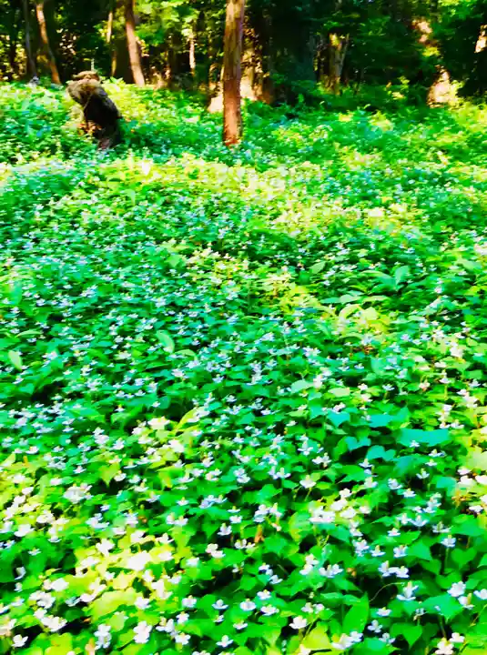 楯縫神社(茨城県)