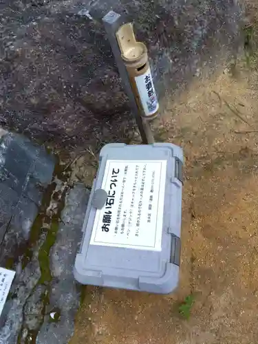 琵琶湖龍神(滋賀県)