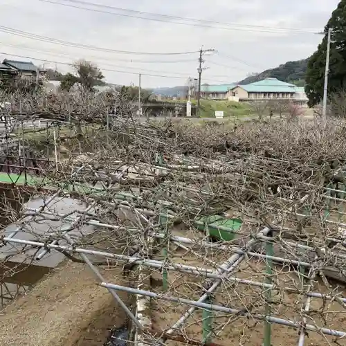 西寒多神社の庭園