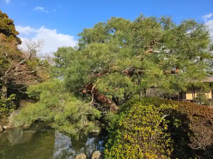 城南宮(京都府)