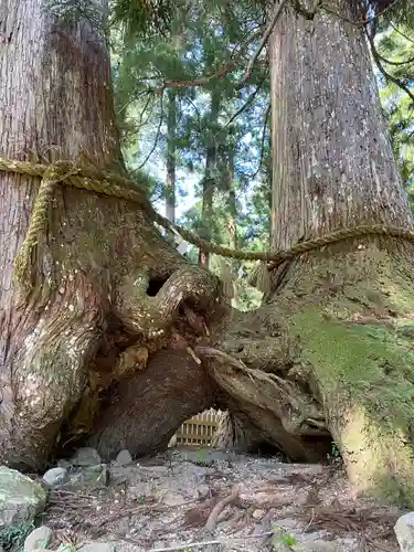 室生龍穴神社(奈良県)