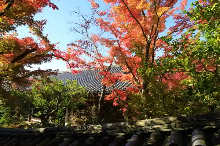 唐招提寺(奈良県)