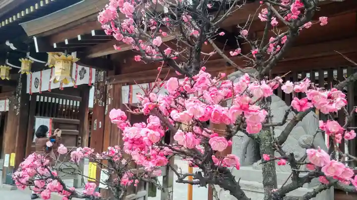 櫛田神社の自然