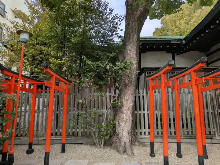 堀越神社の{uncategorized: "未分類", other: "その他", undefined: "問題あり", building: "その他建物", grave: "お墓", sacred_gate: "鳥居", guardian: "狛犬", statue: "像", buddha: "仏像", history: "歴史", nature: "自然", garden: "庭園", animal: "動物", pagoda: "塔", temizu: "手水舎", mountain_gate: "山門・神門", sanctuary: "本殿・本堂", subordinate: "末社・摂社", art: "芸術", scenery: "景色", jizo: "地蔵", ema: "絵馬", goshuin: "御朱印", omikuji: "おみくじ", items: "授与品その他", amulet: "お守り", goshuincho: "御朱印帳", eats: "食事", festival: "お祭り", votive_dance: "神楽", shichigosan: "七五三参", wedding: "結婚式", experience: "体験その他", initially: "初詣", around: "周辺", anti_infection: "感染症対策"}