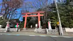 世田谷八幡宮の鳥居