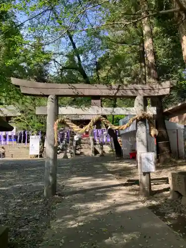 下野 星宮神社の{uncategorized: "未分類", other: "その他", undefined: "問題あり", building: "その他建物", grave: "お墓", sacred_gate: "鳥居", guardian: "狛犬", statue: "像", buddha: "仏像", history: "歴史", nature: "自然", garden: "庭園", animal: "動物", pagoda: "塔", temizu: "手水舎", mountain_gate: "山門・神門", sanctuary: "本殿・本堂", subordinate: "末社・摂社", art: "芸術", scenery: "景色", jizo: "地蔵", ema: "絵馬", goshuin: "御朱印", omikuji: "おみくじ", items: "授与品その他", amulet: "お守り", goshuincho: "御朱印帳", eats: "食事", festival: "お祭り", votive_dance: "神楽", shichigosan: "七五三参", wedding: "結婚式", experience: "体験その他", initially: "初詣", around: "周辺", anti_infection: "感染症対策"}