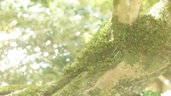 詩仙堂(丈山寺)(京都府)