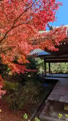 法金剛院(京都府)