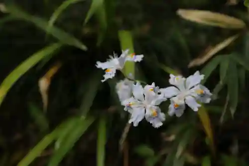 瑞鳳寺(宮城県)