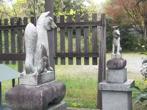 矢倉稲荷社の狛犬