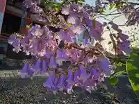 津観音(三重県)