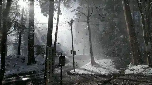 日吉大社の周辺