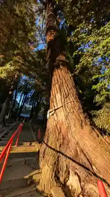 生子神社(栃木県)