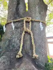 比々多神社の自然