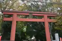 世田谷八幡宮(東京都)