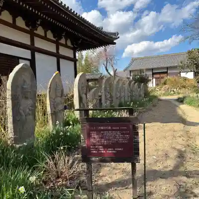 般若寺 ❁﻿コスモス寺❁(奈良県)