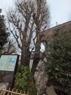 光円寺(東京都)