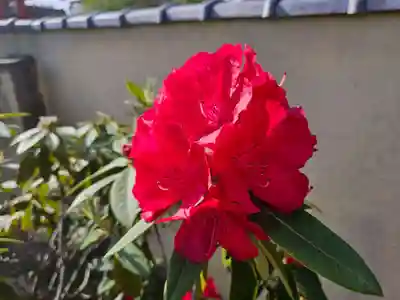 津観音(三重県)