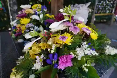 滑川神社 - 仕事と子どもの守り神の手水舎
