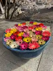 行田八幡神社の手水