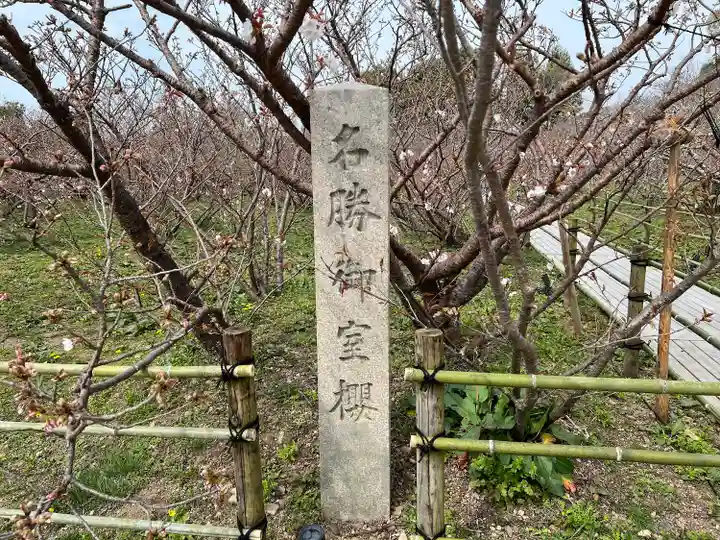 仁和寺(京都府)