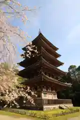 醍醐寺(京都府)