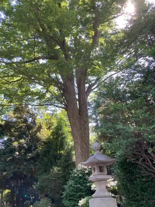 前鳥神社(神奈川県)