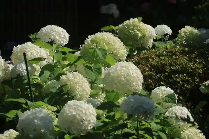 豊景神社の庭園