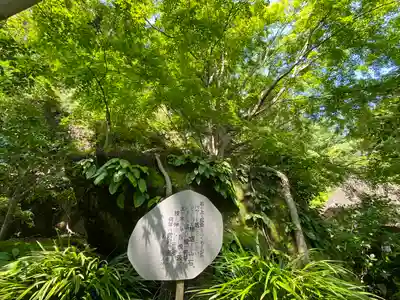 明月院(神奈川県)