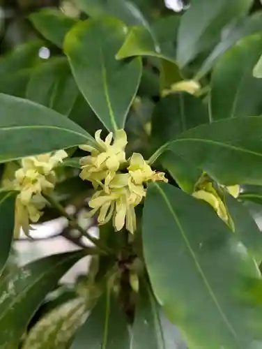 慶珊寺(神奈川県)