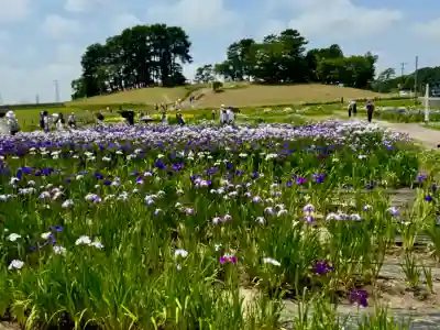 陸奥総社宮の{uncategorized: "未分類", other: "その他", undefined: "問題あり", building: "その他建物", grave: "お墓", sacred_gate: "鳥居", guardian: "狛犬", statue: "像", buddha: "仏像", history: "歴史", nature: "自然", garden: "庭園", animal: "動物", pagoda: "塔", temizu: "手水舎", mountain_gate: "山門・神門", sanctuary: "本殿・本堂", subordinate: "末社・摂社", art: "芸術", scenery: "景色", jizo: "地蔵", ema: "絵馬", goshuin: "御朱印", omikuji: "おみくじ", items: "授与品その他", amulet: "お守り", goshuincho: "御朱印帳", eats: "食事", festival: "お祭り", votive_dance: "神楽", shichigosan: "七五三参", wedding: "結婚式", experience: "体験その他", initially: "初詣", around: "周辺", anti_infection: "感染症対策"}