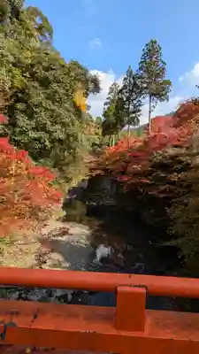 西明寺(京都府)