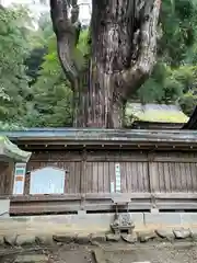 若狭姫神社（若狭彦神社下社）(福井県)