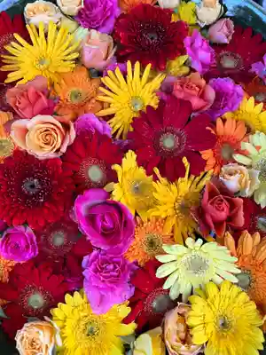 彌都加伎神社の手水舎